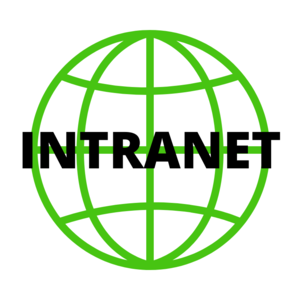 green outline of a globe with "intranet" written over it